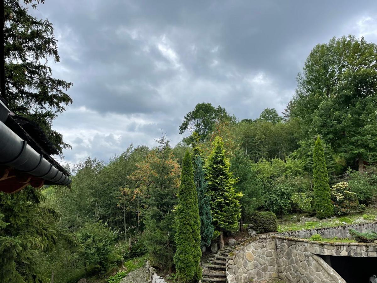 Willa Wojciechowo Zakopane Exterior foto